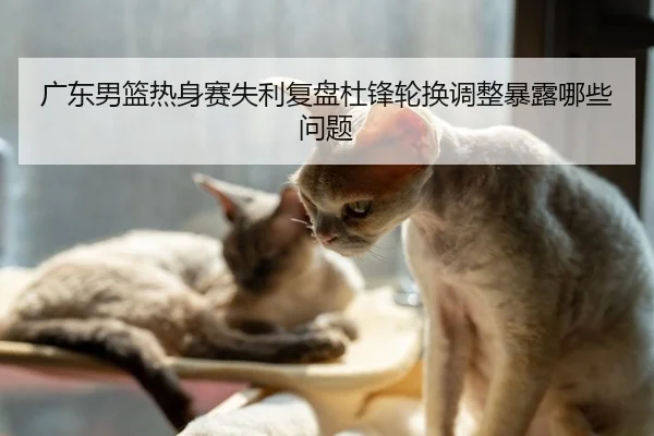 广东男篮热身赛失利复盘杜锋轮换调整暴露哪些问题
