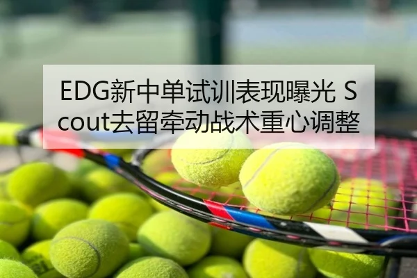 EDG新中单试训表现曝光 Scout去留牵动战术重心调整
